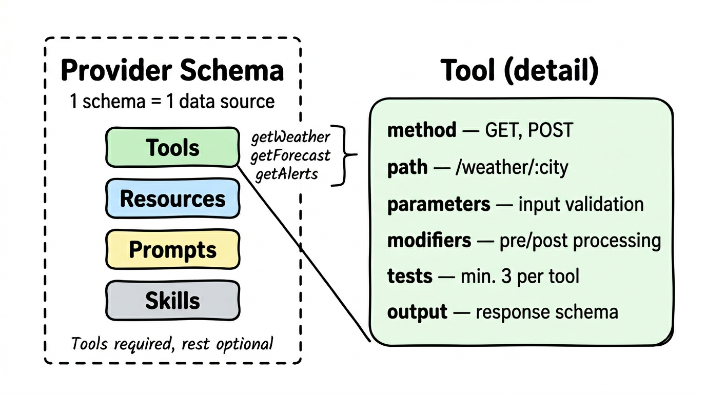 Provider Schema Structure: Tools, Resources, Prompts, Skills